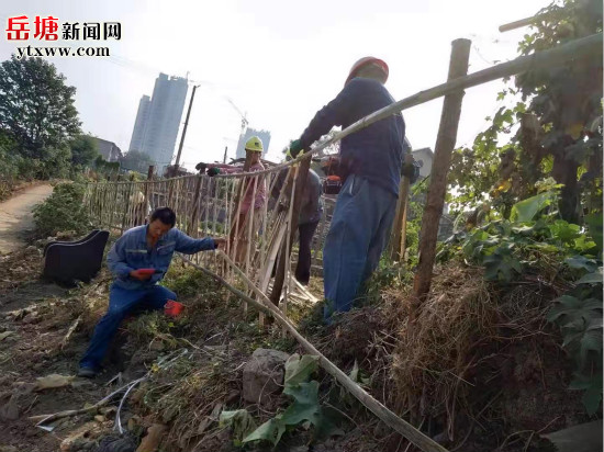 靚化人居環(huán)境 建設(shè)路街道建“竹籬笆”柵欄千余米