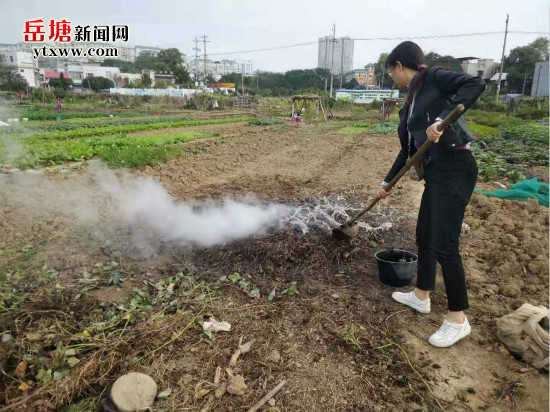 書院路街道：疏堵結合 整治露天秸稈焚燒