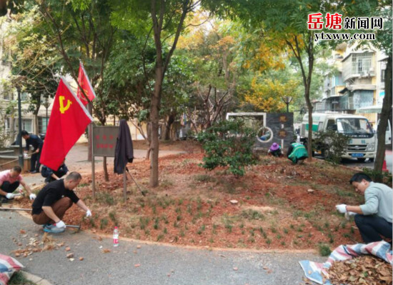 霞光社區(qū)黨員志愿者開(kāi)展社區(qū)公園環(huán)境衛(wèi)生整治