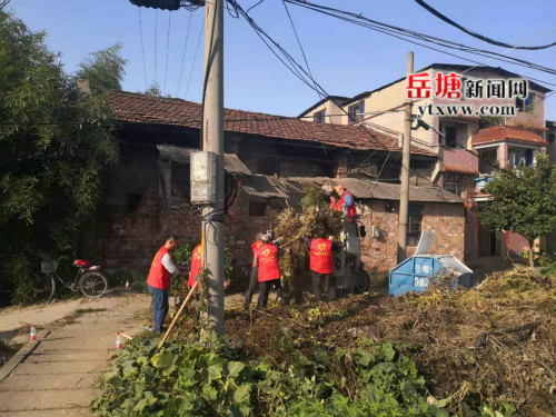 助推美麗鄉(xiāng)村 下攝司村10名志愿者清除道路雜草