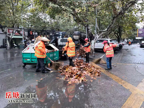 岳塘环卫人机结合扫落叶 确保道路干净整洁