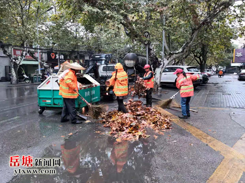 岳塘環(huán)衛(wèi)人機(jī)結(jié)合掃落葉 確保道路干凈整潔