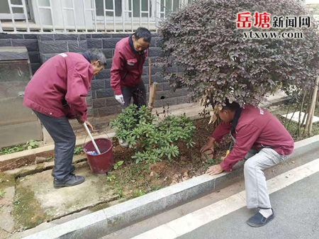 向陽社區(qū)開展冬季滅鼠行動