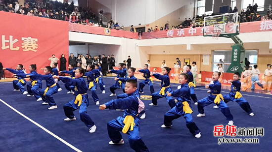 紅霞學校代表隊在湖南省第四屆校園武術比賽中獲佳績