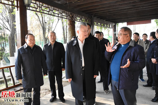 湖南省委指导组来岳塘区调研农业产业项目建设