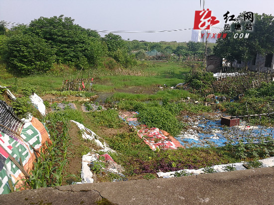 下“繡花”功夫 橫街社區(qū)創(chuàng)衛(wèi)攻堅(jiān)有成效