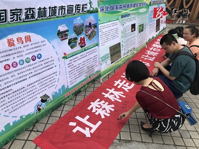 岳塘街道开展深化国家森林城市建设主题宣传活动