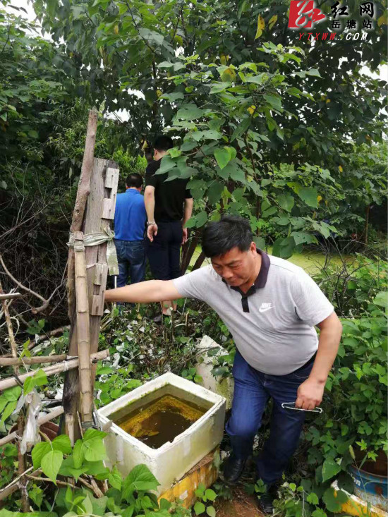 【防汛抗災(zāi) 岳塘在行動】建設(shè)路街道快速處理廢棄水井冒黃水隱患