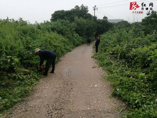 【防汛抗災(zāi) 岳塘在行動】眾志成城 五星村進入全面防汛緊張狀態(tài)