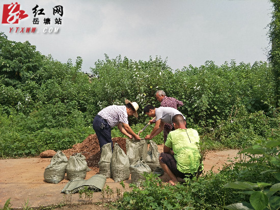 守護美麗家園 聯(lián)合村張家灣一處廢棄水井隱患得到控制