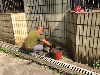 多管齊下 五里堆街道“一拆二建三投四堵”開展滅鼠工作