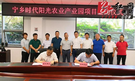 湖南金阳城正式签约宁乡时代阳光农业产业园项目