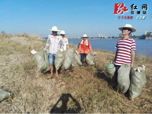 汛期過后 東坪街道開展河道保潔工作