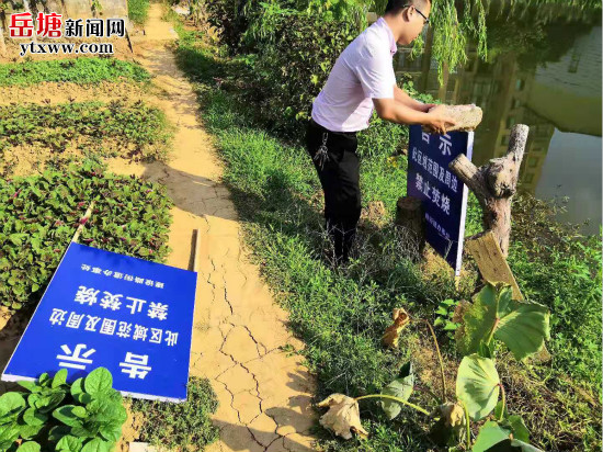 建設(shè)路街道多舉措開展“中元節(jié)”禁燃禁燒工作