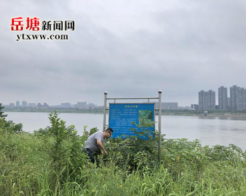 建立長效機(jī)制  霞城街道河長辦堅(jiān)持河道巡查不放松