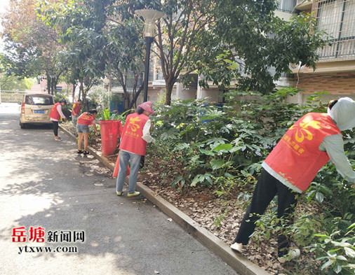 婦女撐起半邊天 書(shū)院路街道婦聯(lián)助力湘潭創(chuàng)衛(wèi)