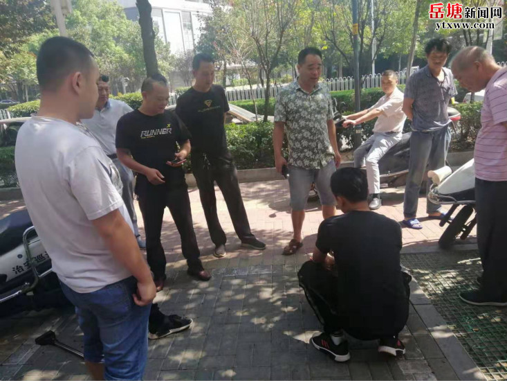 書院路街道：部門聯(lián)動(dòng)捕捉流浪狗