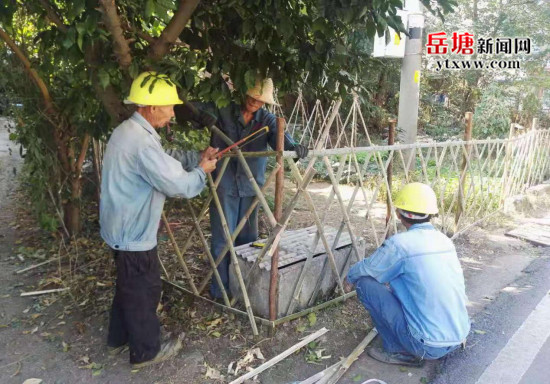 助力创卫 东坪街道路边菜地换新颜