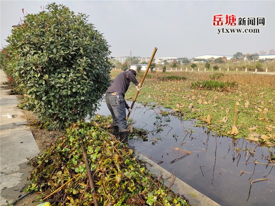 落實“河長制” 陽塘村開展大陽塘標準塘建設