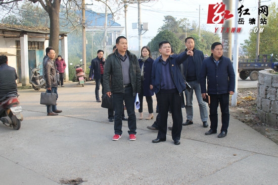 市住建局局长吴纯杰一行到岳塘区霞城街道阳塘村就该村美丽乡村建设